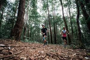 BIB: 
                            <button type="button" onclick="openModal(25261289)" class="btn btn-primary btn-sm float-right btn-popup" data-toggle="modal" data-target=".modal-high-quality">
                        <i class="fas fa-shopping-cart"></i> Add to Cart
                    </button>
                                            <button type="button" onclick="isThisMe(25261289, true)" class="btn btn-success btn-sm float-right btn-popup btn-isme hidden" data-toggle="tooltip" data-placement="bottom" title="นี่คือรูปของคุณใช่ไหม คลิกที่นี่เพื่อเอาเข้าอัลบั้ม">
                        <i class="fas fa-plus"></i> Add to album
                    </button>
                    <button type="button" onclick="isThisMe(25261289, false)" class="btn btn-warning btn-sm float-right btn-popup btn-isnotme hidden">
                        <i class="fas fa-ban"></i> Remove from album
                    </button>